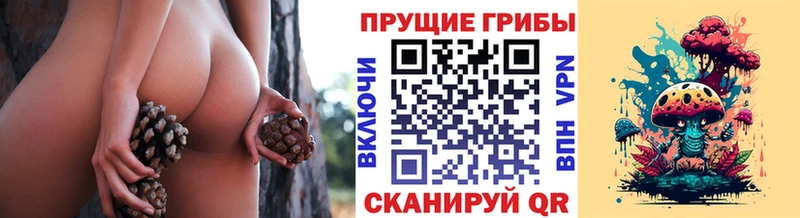дарк нет как зайти Галич Галлюциногенные грибы MAGIC MUSHROOMS даркнет сайт