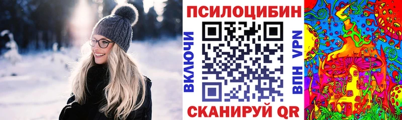 Псилоцибиновые грибы Cubensis Галич