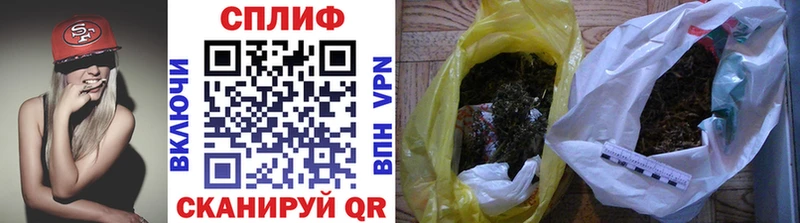 купить наркотики сайты  Галич  ОМГ ОМГ зеркало  Каннабис сатива 